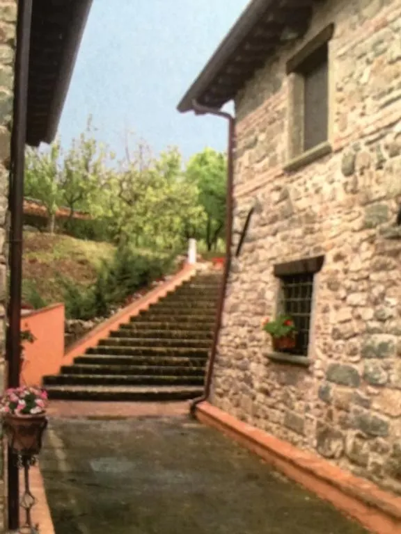 I Lei Villa Fivizzano Farm stay